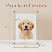 Digital Photo & Video Frame By Evider